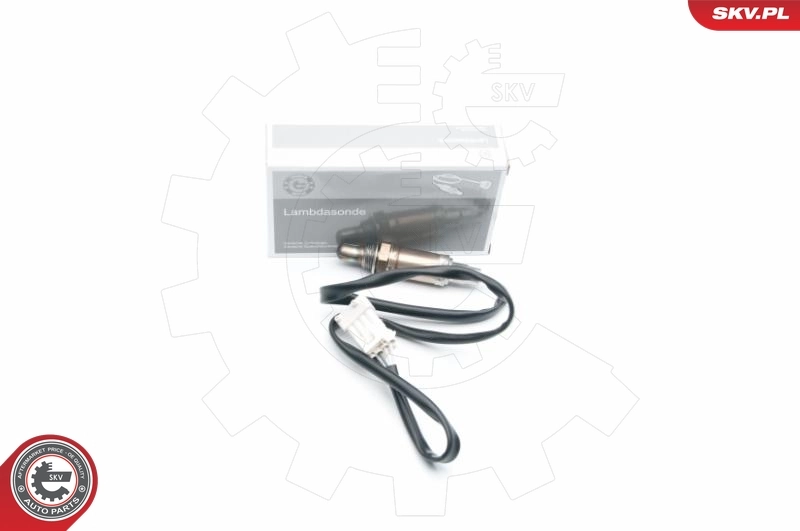 Oxygen Sensor